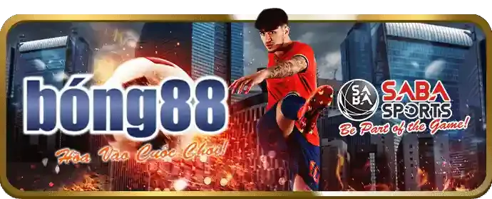 Hoàn trả cược thể thao hàng tuần Win55